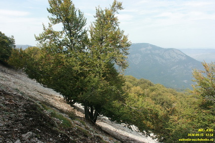 gavrel-bogaz-2024-09-15-0303