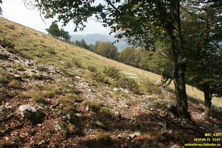 gavrel-bogaz-2024-09-15-0307