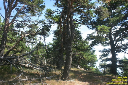 Бабуган-яйла, Крым