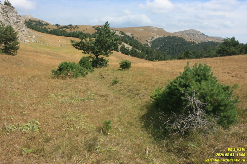 babugan-2025-08-1-216.JPG