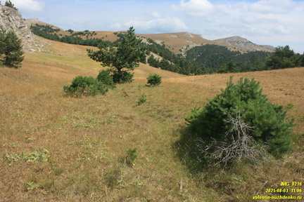 Бабуган-яйла, Крым