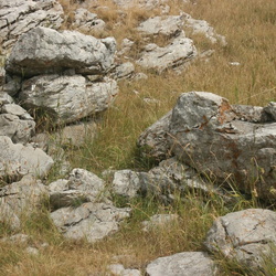 калитки