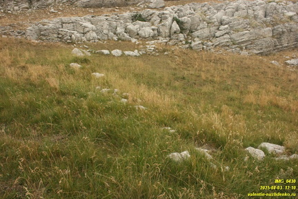 Бабуган-яйла, Крым