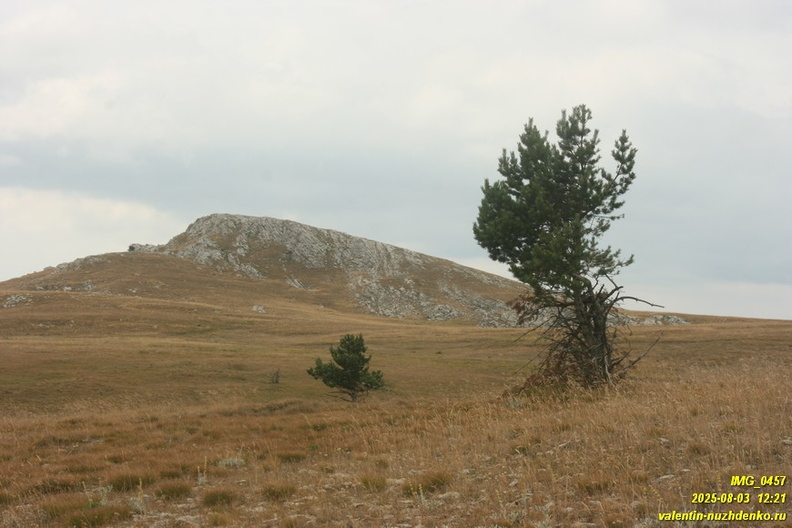 babugan-2025-08-1-457.JPG