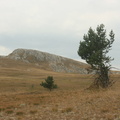 Бабуган-яйла, Крым