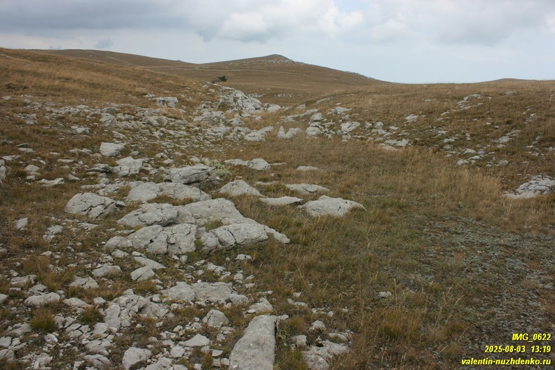babugan-2025-08-1-622.JPG