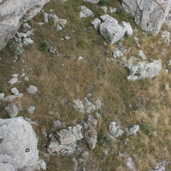 Возможная перегородка в загоне