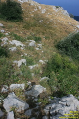 Бабуган-яйла, Крым