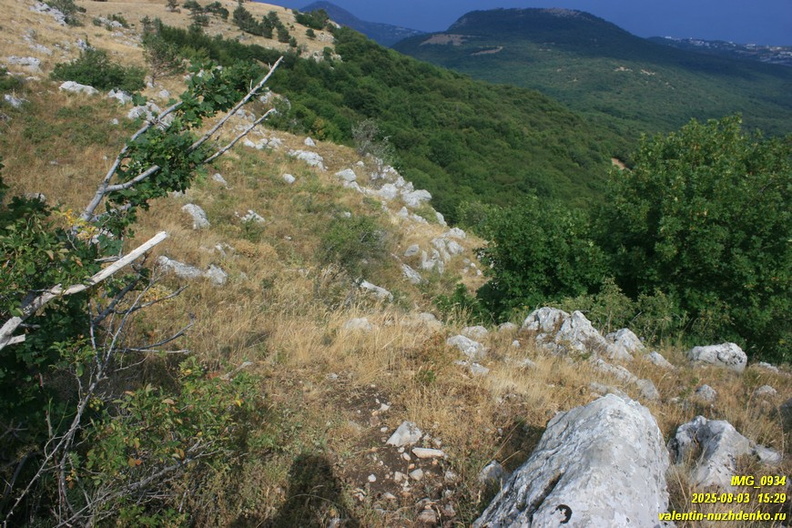 babugan-2025-08-1-934.JPG