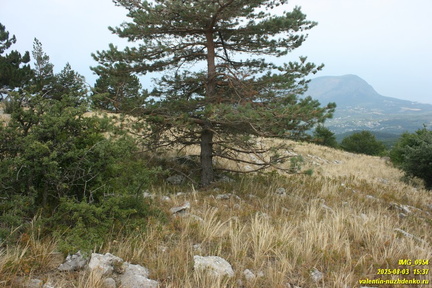 Бабуган-яйла, Крым