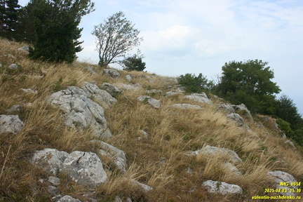 Бабуган-яйла, Крым