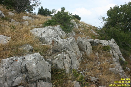 Бабуган-яйла, Крым