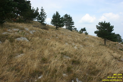 Бабуган-яйла, Крым