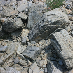 Глинистые сланцы