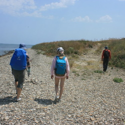 Кочетковские Кручи. Побережье