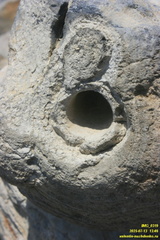 Тархан и район. Приазовье. Керченский полуостров.