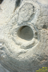 Тархан и район. Приазовье. Керченский полуостров.