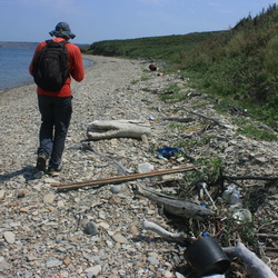 Камышлык Большой. Побережье