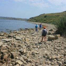 Камышлык Малый. Побережье