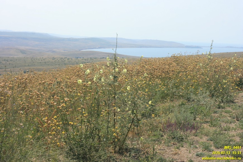krech-azov-tarhan-0461.JPG