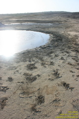 Павлова грязевая сопка (грязевой вулкан)