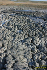 Андрусова грязевая сопка (грязевой вулкан)