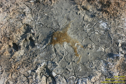 Шилова грязевая сопка (грязевой вулкан)