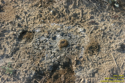 Шилова грязевая сопка (грязевой вулкан)