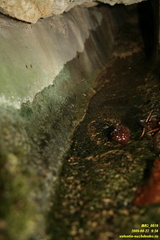 Уч-Тенке под Гурзуфским шоссе