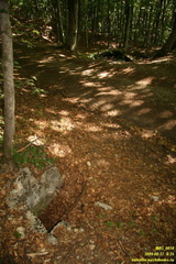 Уч-Тенке под Гурзуфским шоссе