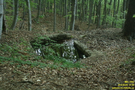 Уч-Тенке под Гурзуфским шоссе