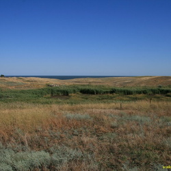 Тарханская балка. Пруд возле ОТФ