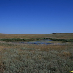 Тарханская балка. Пруд возле Большого Вала