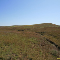 Тарханская балка и район