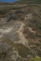 Тарханские минеральные источники. Тарханская балка. Приазовье. Керченский полуостров.