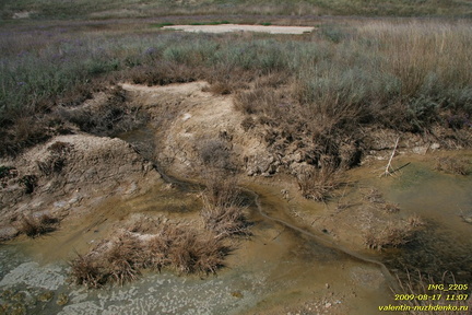 Тарханские минеральные источники. Тарханская балка. Приазовье. Керченский полуостров.