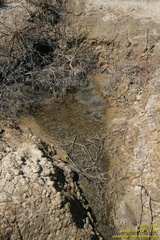 Тарханские минеральные источники. Тарханская балка. Приазовье. Керченский полуостров.