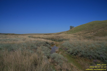 Тарханские минеральные источники. Тарханская балка. Приазовье. Керченский полуостров.