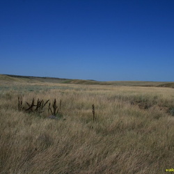 Тарханская балка