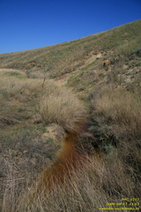 Тарханские минеральные источники. Тарханская балка. Приазовье. Керченский полуостров.