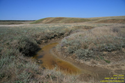 Тарханская балка. Приазовье. Керченский полуостров.