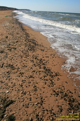 Бухта Рифов. Приазовье. Керченский полуостров. Крым