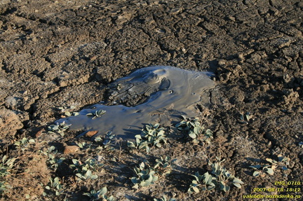 Андрусова грязевая сопка (грязевой вулкан)