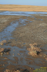 Центральное озеро. Грязевая сопка (грязевой вулкан)