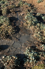 Обручева грязевая сопка (грязевой вулкан)