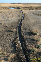 Вернадского грязевая сопка (грязевой вулкан)