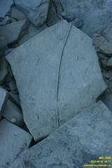 бухта Бугасская