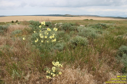 Трехгорка - высоты возле Бондаренково