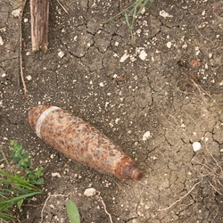 Собственно Трёхгорка