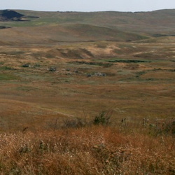 ОТФ, Тарханская балка